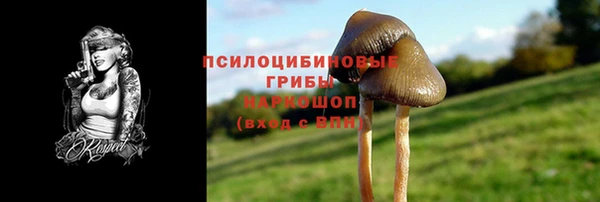 каннабис Куйбышев