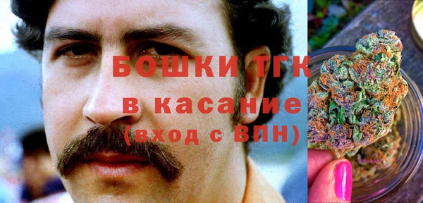 амф Кулебаки