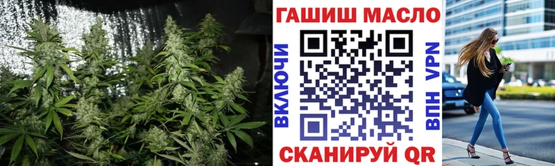 Купить закладки  Североморск  Дистиллят ТГК вейп 