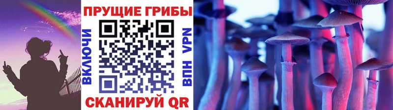 Псилоцибиновые грибы ЛСД Купить Североморск