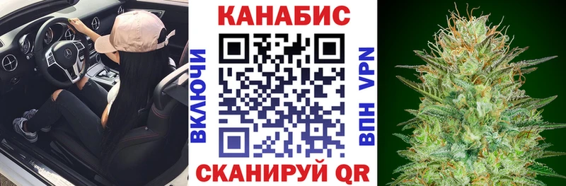 Конопля Bruce Banner  Купить где  Североморск 